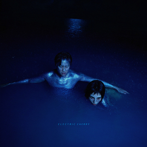 美国大黑刁内射丰满的少妇
